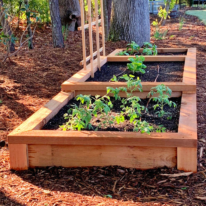 Easy Diy Vegetable Garden Ideas To Build