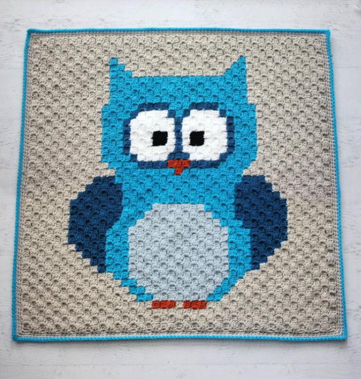 25 Free Crochet Owl Patterns (Amigurumi Pattern)