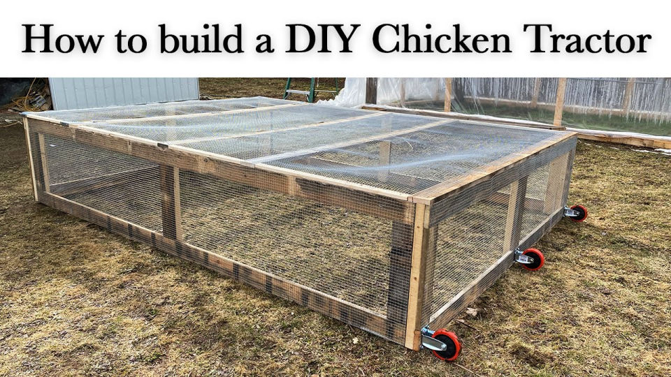 25 Free DIY Chicken Tractor Plans and Ideas to Build