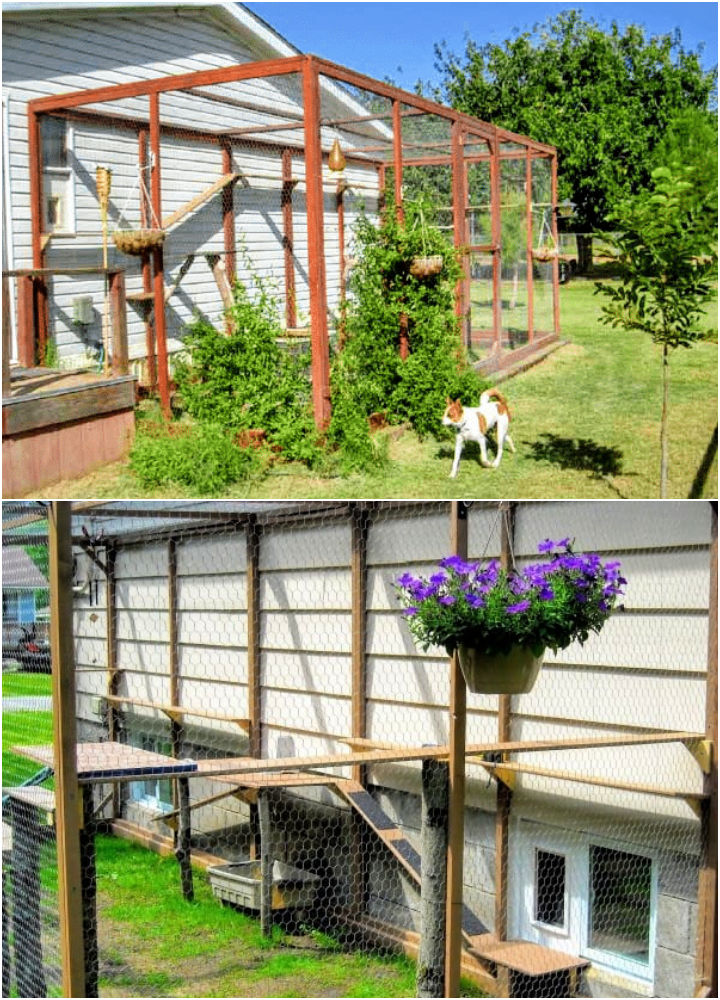 20 Free DIY Catio Plans: Build Your Outdoor Cat Enclosure