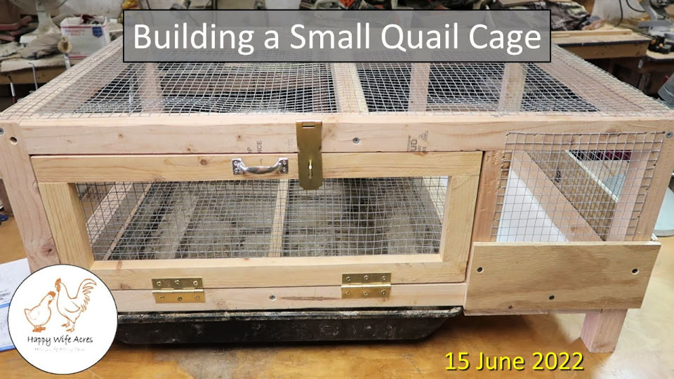 20 Homemade DIY Quail Cage Plans and Ideas