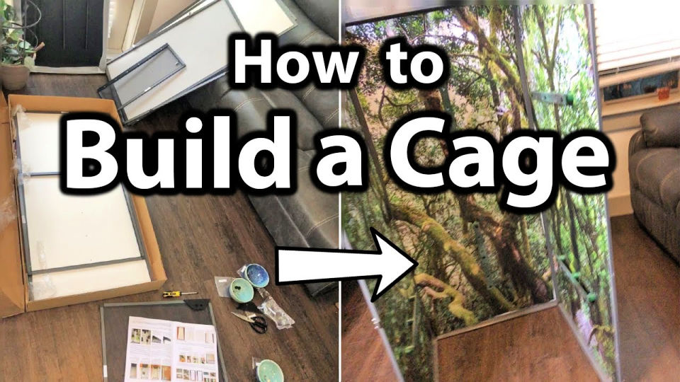 16 Homemade DIY Chameleon Cage Ideas