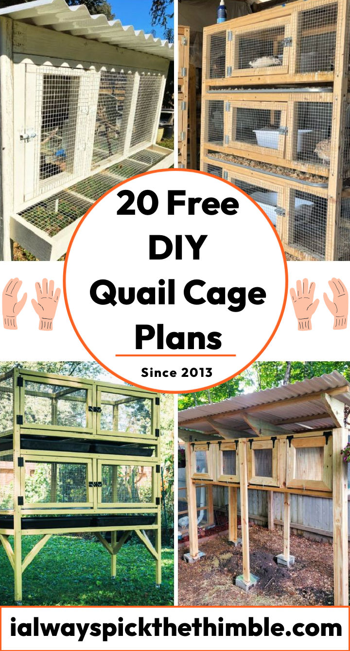 Quail Cage Plans