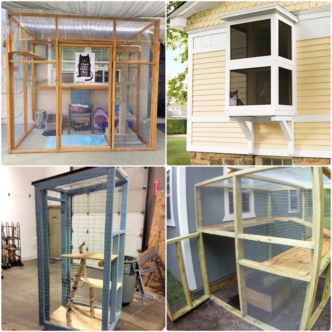 20 Free DIY Catio Plans Build Your Outdoor Cat Enclosure