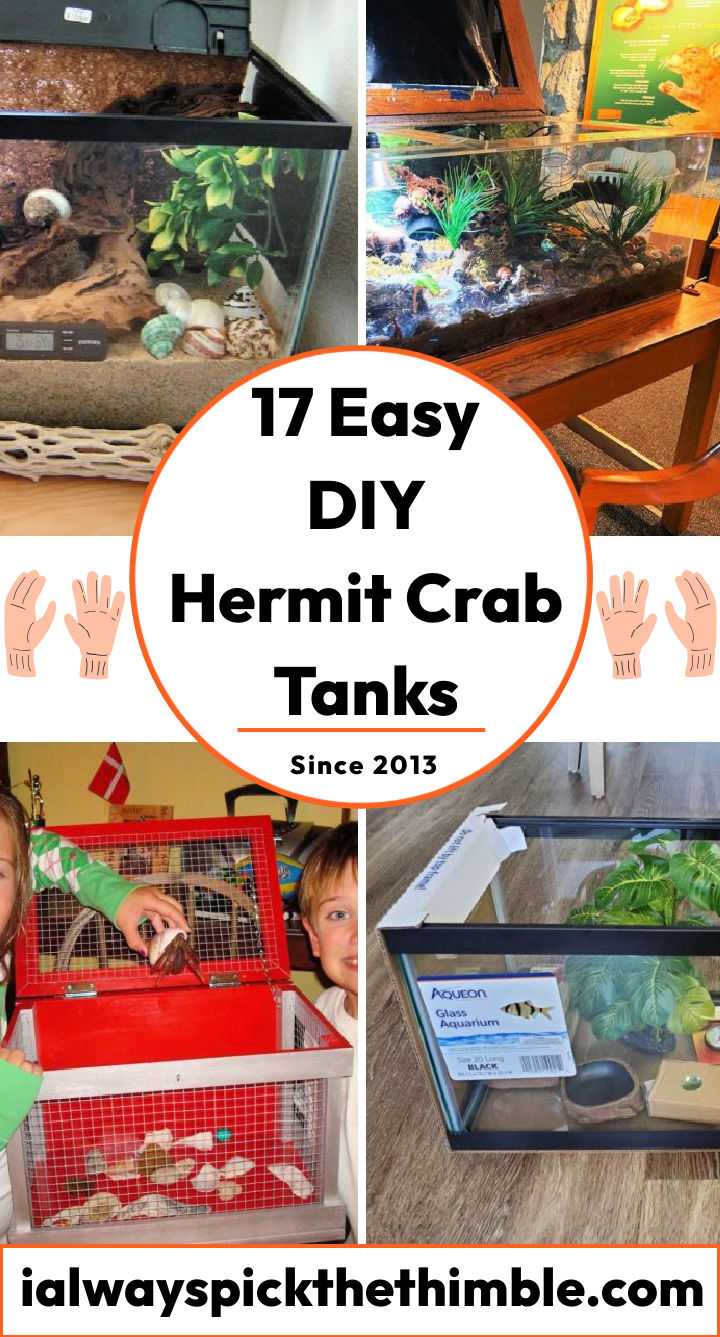 17 DIY Hermit Crab Tank Ideas: Learn How To Make